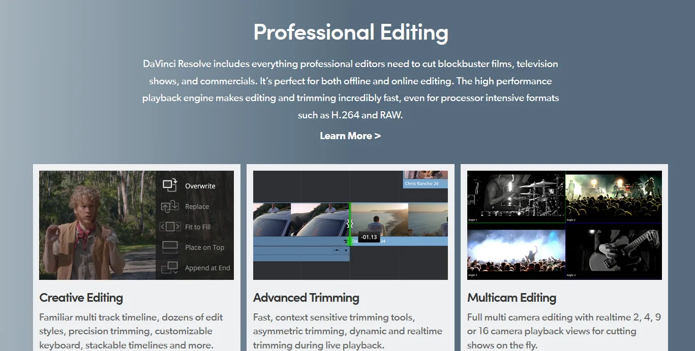 davinci resolve