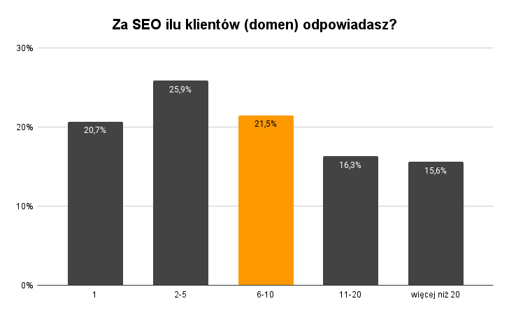 Za SEO ilu klientow domen odpowiadasz 1